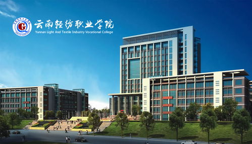 昆明奥远科技 一站式数字化解决方案，赋能企业网络建设与新媒体运营